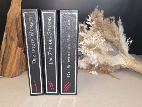 The Witcher - Kurzgeschichten - Andrzej Sapkowski&nbsp; Drei Bücher mit schwarzen Einbänden, dekoriert mit getrocknetem Pflanzendekor.