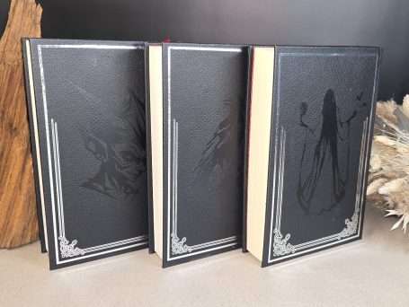 The Witcher - Kurzgeschichten - Andrzej Sapkowski&nbsp; Drei hochwertige Bücher mit schwarzen Einbänden und stilisierten Schattenbildern.