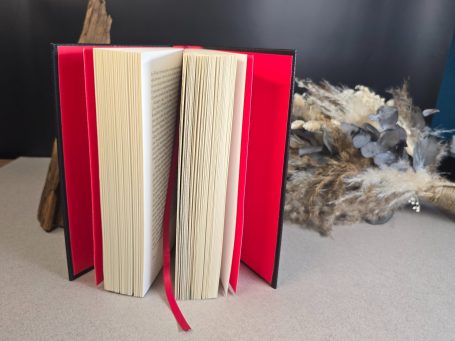 The Witcher - Kurzgeschichten - Andrzej Sapkowski&nbsp;Ein geöffnetes Buch mit rotem Schnitt und roten Seiten, auf einem neutralen Untergrund.